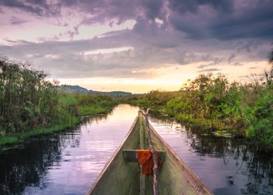 Sunset on Mabamba Swamp