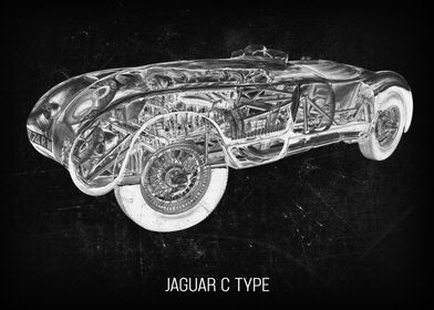 Jaguar CType