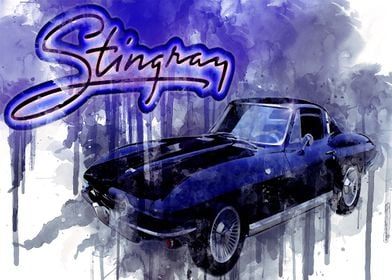 Stingray76251