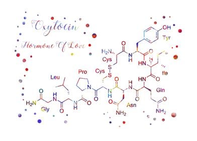 Oxytocin hormone of love 