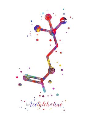 Acetylcholine molecule