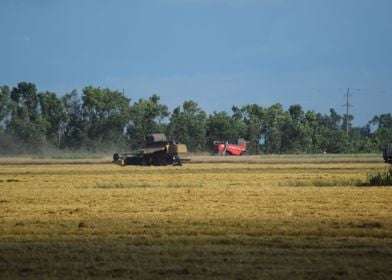 Combine In A Field