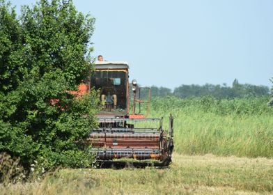 The Combine Harvester