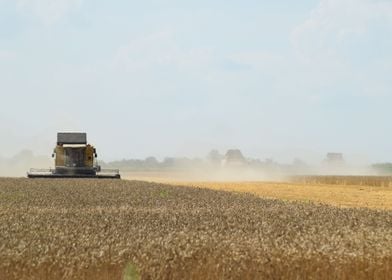 Combine In A Field