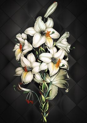 lily white silk diamond