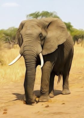 Elephant