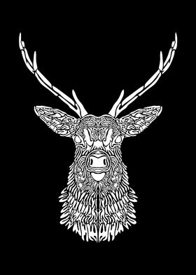 Deer Illustration