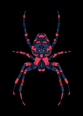 Spider Illustration