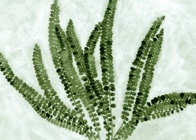 Fern Painting