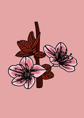 Sakura Flower Illustration