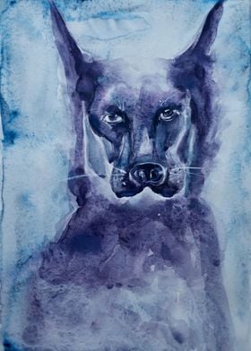 Blue Dog  watercolour 