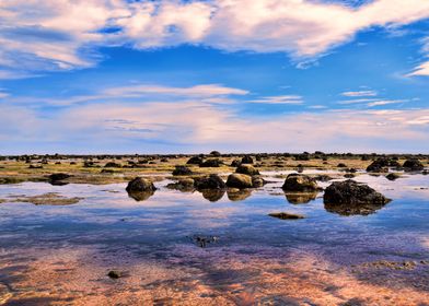 Seascape Scotland