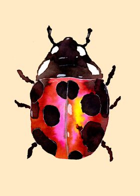 Watercolor Ladybug 