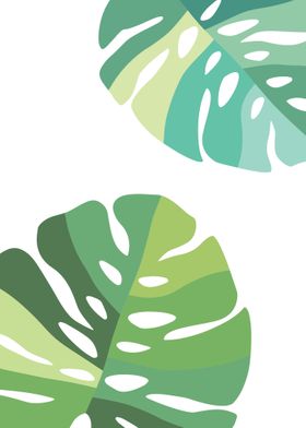 Monstera Leaf