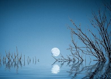 Moon on the Water