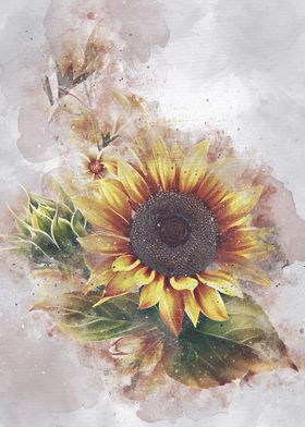 sun flowers watercolor 2