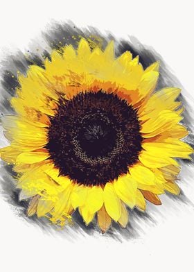 sun flowers art 1