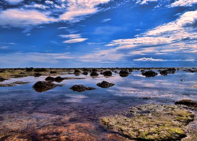 Seascape Scotland 2