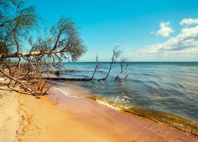 Baltic Bay Beach Blue Brig