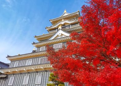 Castle Okayama