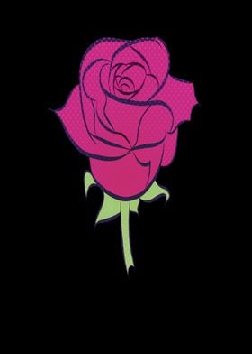 Beautiful rose as a