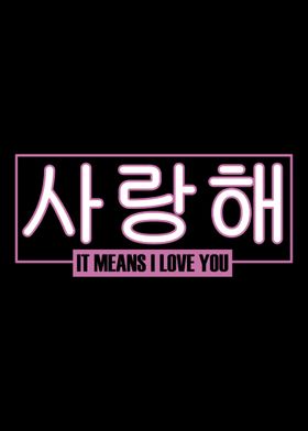 I Love You In Korean Saran