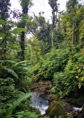 Hibiscus Falls