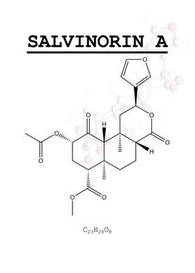 Salvinorin A