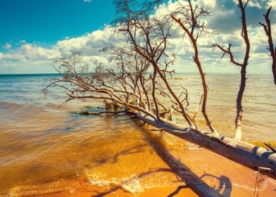 Baltic Bay Beach Blue Brig