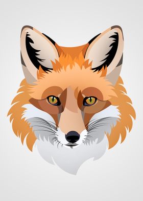 Red Fox Illustration