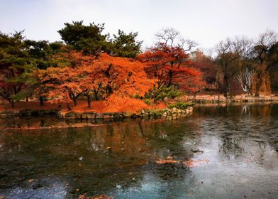 Changgyeonggung Seoul