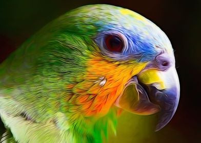 Parrot CloseUp