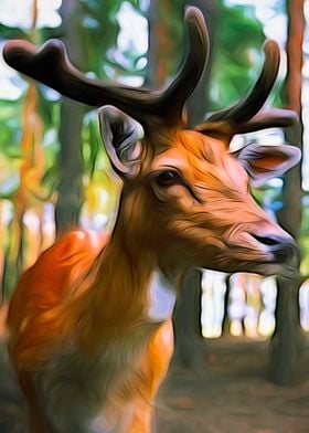 Deer In The Forest