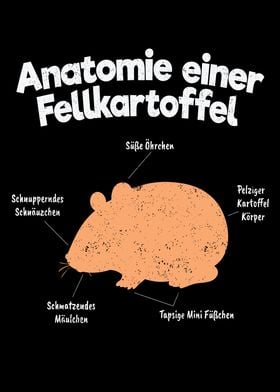 Anatomy Of A Guinea Pig