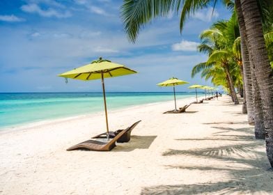 Tropical Beach Background 