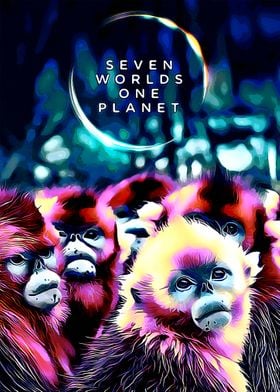 One Planet Seven Worlds 1