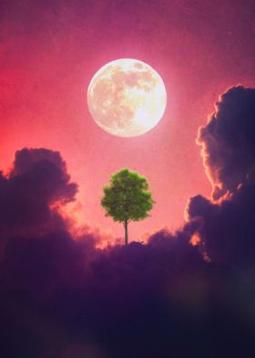 Growing In A New Place