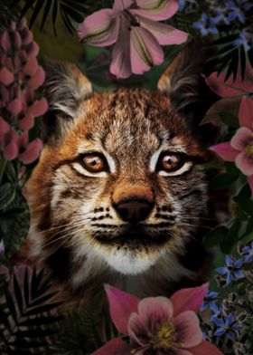 Lynx Flower Portrait