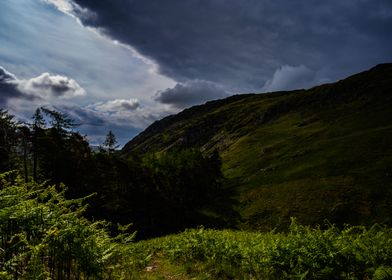 Trees and Mountains Clouds