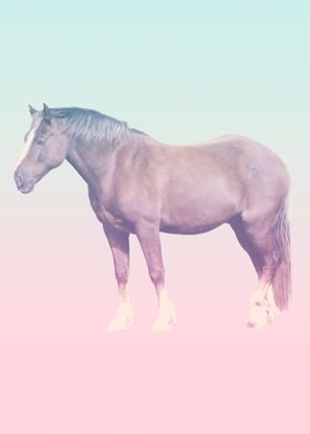 horse minimalsist