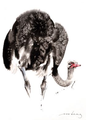 Ostrich