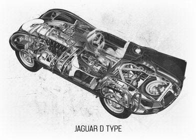 Jaguar DType