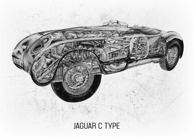 Jaguar CType