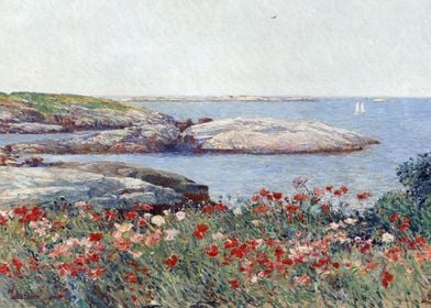 Poppies Isles of Shoals