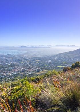 View of Cape Town city