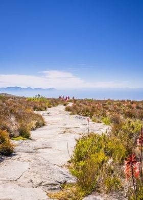 Path on Table Mountain