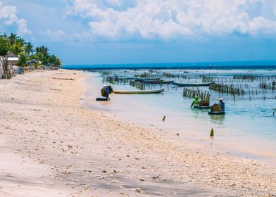 Seaweed Plantation Farm By