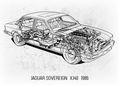 Jaguar Sovereign XJ40 19