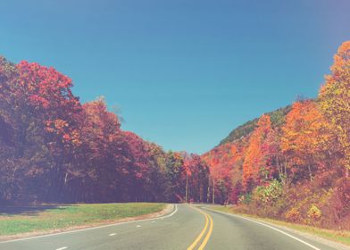 Scenic Road In Autumn With