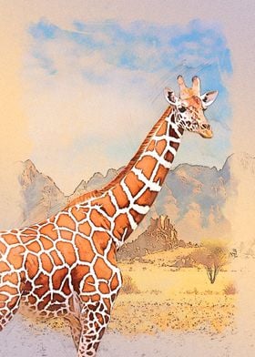 Giraffe